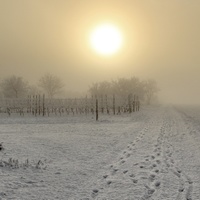 zima na jižní Moravě