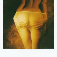 The Polaroid #44
