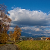 Slunečný podzim