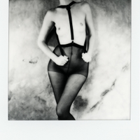 The Polaroid #77