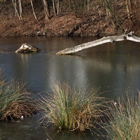 Hloubětínská Lochneska