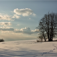 ...podkrkonošská....