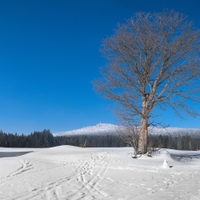 Šumavské pohledy