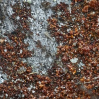 Koroze