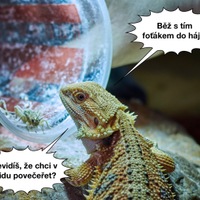 Při jídle nerušit!