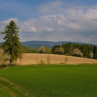 Vůně jara