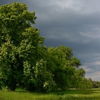 Jarní bouřka