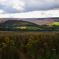 Derbyshire