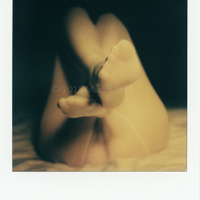 The Polaroid #126