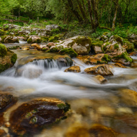 Lepenjica