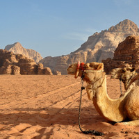 Wadi Rum - Mesačné údolie