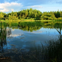 Jezírko v Lotyšsku.