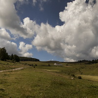 Petit Ballon