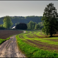 cesta k samotě