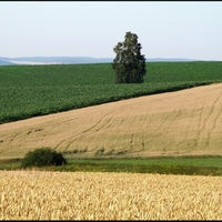 Vysočina u Knyku