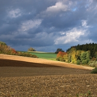 Vysočina u Skřivánku