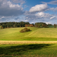 Vysočina u Skřivánku 2