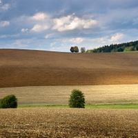 Vysočina u Skřivánku 3