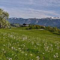 Alpská krajina