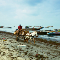 Senegal