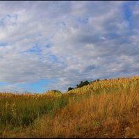 Podvečer.