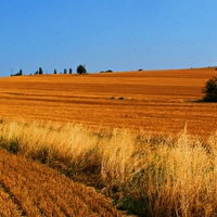 Postřekovsko.