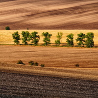 U Kyjova