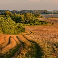 Cestičkou do polí