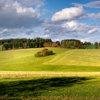 Vysočina u Skřivánku 1