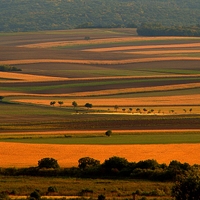 Krivky krásnej Moravy