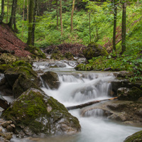 Rakouský potůček