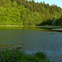 Rybník Neratov (přírodní památka), Vizovické vrchy