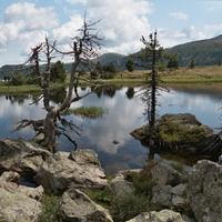 Windebensee - Nockberge