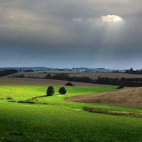 Vysočina u Skřivánku