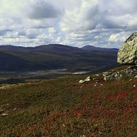 v NP Ormtjornskampen