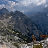 Pohled na Triglav