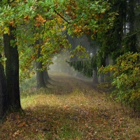 Podzim na hrázi