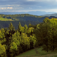 Nad Valašskou Senicí (Javorníky, na obzoru Malá Fatra)