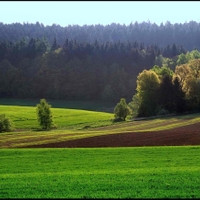 Vysočina u Knyku