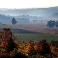 Vysočina u Havlíčkovy Borové