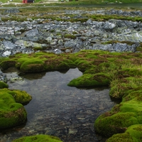 Rondane