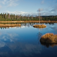 Svatomartinská ... 