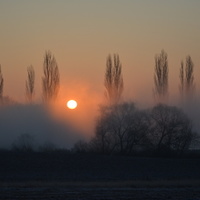 Ráno v Polabí