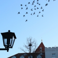 Na chvilku v Regensburgu.