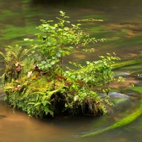 Ostrůvek