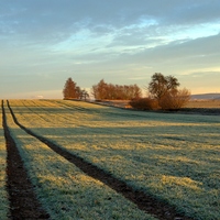 o ranních mrazících