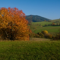 Hřejivý den