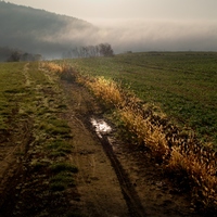 Polňačkou 