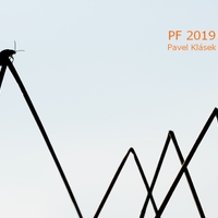 pf 2019