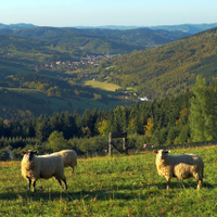 Valašské pohledy (z Vráblových pasek, Vizovické vrchy)